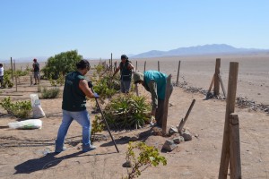 Voluntarios en el Desierto de Antofagasta, Chile