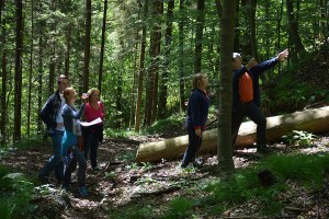 Taller de orientación en la naturaleza (Eslovenia)