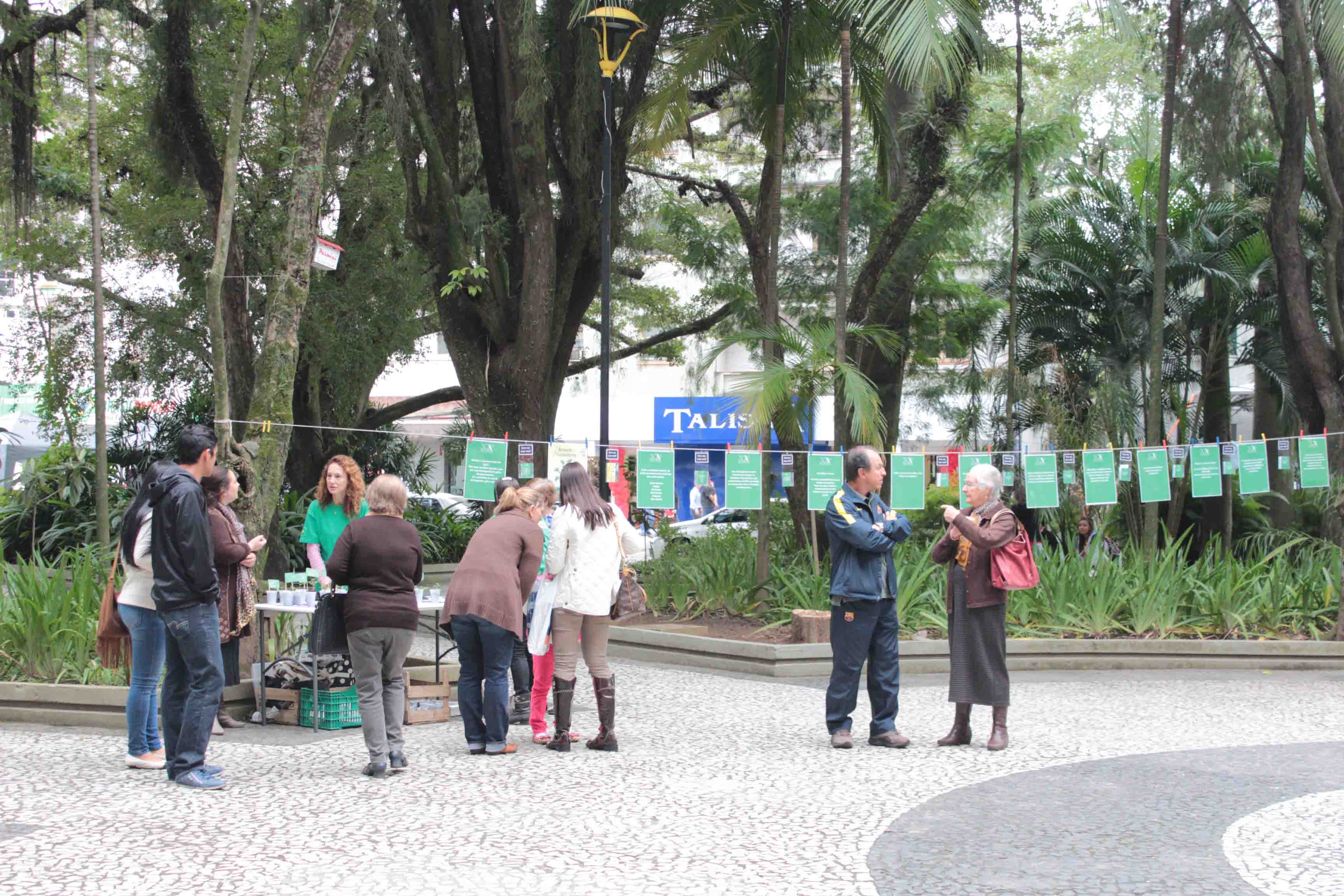 Commemorating Environment Week Criciuma Brazil Acropolis News