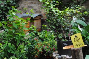 Fin de semana de Jardines Abiertos al Público, Junio 2015 (Londres, Reino Unido)
