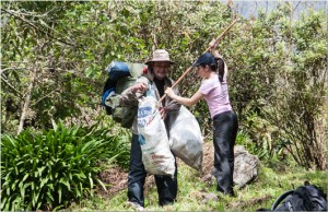 Actividad de Limpieza