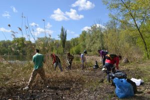 Ecological activity in Poltava branch