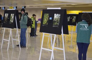 2016 Curitiba Brasil-S exposicion03