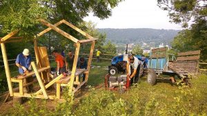 16 Years of Efforts: New Acropolis Revives the Oldest Botanical Garden in Ukraine 