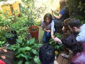 World Bee Day at New Acropolis (London, United Kingdom)