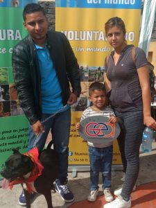 3rd Edition of ‘Patitas’, Adopt-a-Dog (State of Guanajuato, Leon, Mexico)