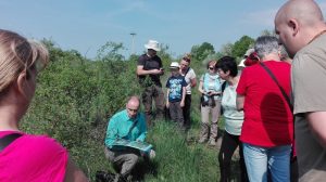 Experience in nature on the recognition of medicinal plants (Eger, Hungary)