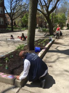 Retorno a la tierra – Voluntariado en un jardín comunitario (Chicago, EE. UU.)