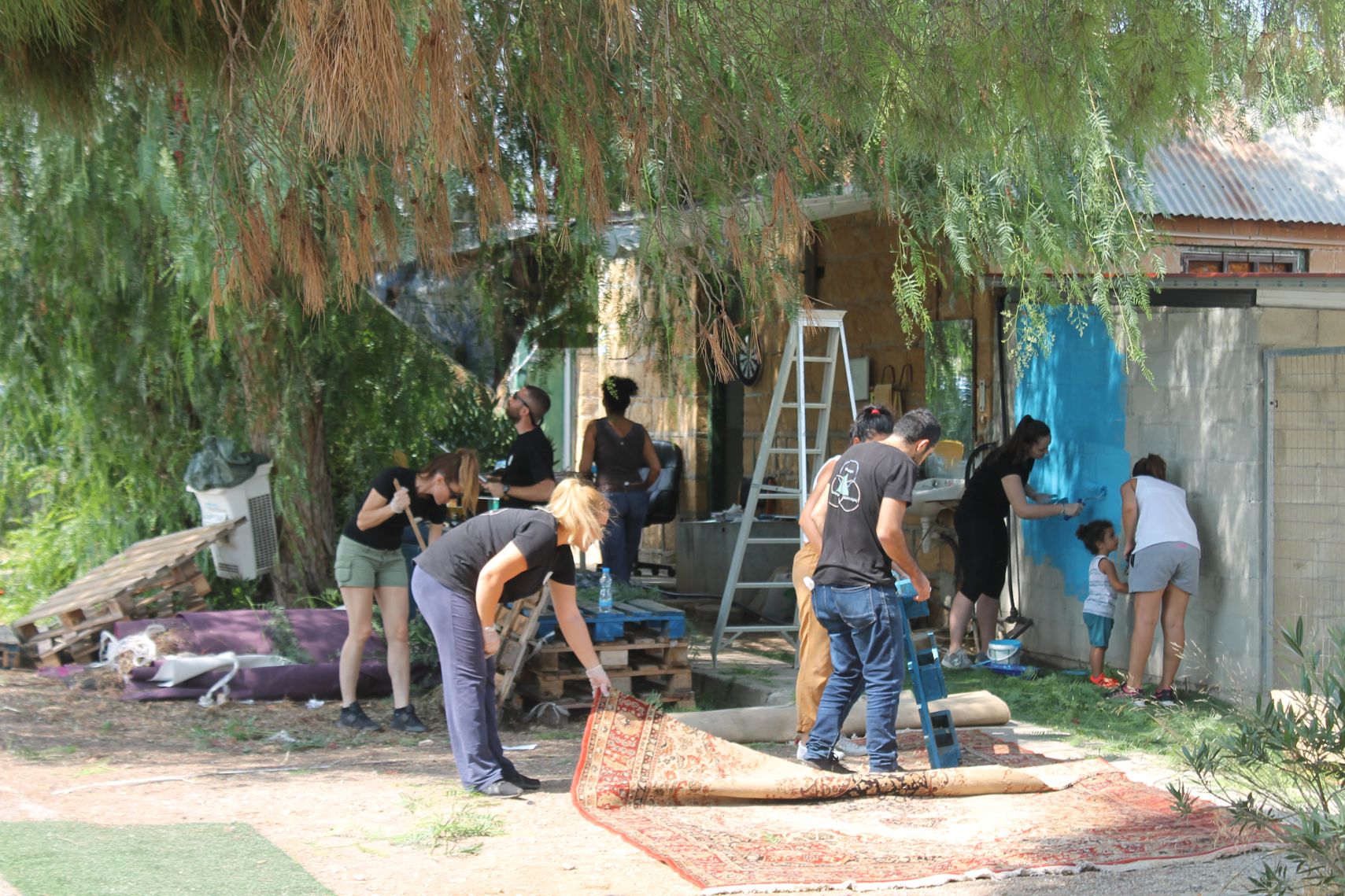 Volunteering Action in Nicosia Dog Shelter (Nicosia, Cyprus