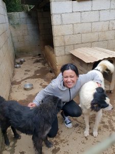 Love and Care for the furry ones with 4 paws ( La Antigua Guatemala, Guatemala)