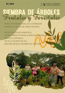 Día Internacional de la Diversidad y Día Nacional del Árbol (Guatemala)