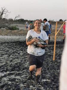 New Acropolis collaborates in the protection of baby flamingos (Syracuse, Italy)