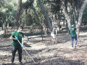 Collaboration of volunteers with the Municipality of Athens – Fire protection works in the Ilisia Grove (Greece)