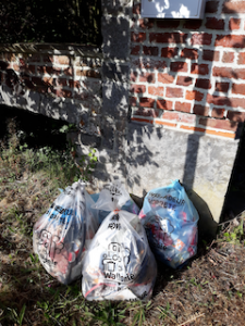 Fall Clean-up Campaign (Belgium)