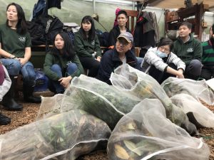 Voluntariado ecológico: segunda experiencia en una granja agrícola (Taipei, Taiwán)