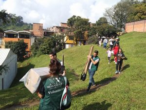 Collective planting activity (Medellín, Colombia)