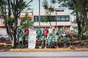 Reforestation on the bicycle path (Mexico)