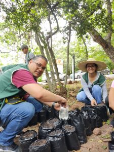 Promoting a Clean and Safe Environment in Juana Laínez Park (Tegucigalpa, Honduras)