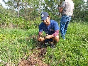 Reforestación en el Día Mundial del Medio Ambiente, (Guatemala, Guatemala)