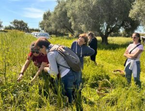Recognizing and picking wild herbs (Ladispoli, Italy)