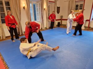 Reunión internacional de artes marciales (Austria)