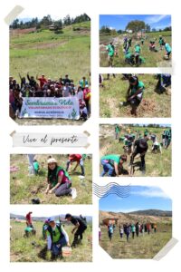 Ecological Activity: ” Planting Life” (Cajamarca, Peru)