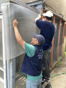 Volunteering at a Cat Shelter (Chicago, USA)