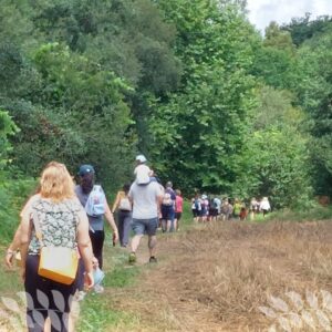 Literary walk, tell a story: Alice’s Adventures in Wonderland (Guimarães, Portugal)