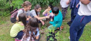 Donación de árboles autóctonos (Córdoba, Argentina)