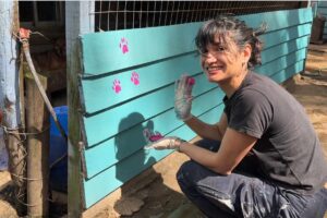 Voluntariado en refugio de animales (Montevideo, Uruguay)