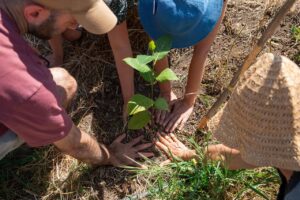 Celebración del Día de la Tierra, una unión entre naturaleza y espíritu comunitario (Israel)