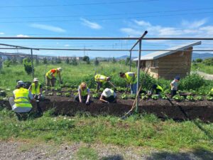 Acción ecológica en el Día de la Tierra (Podgorica – Montenegro, Croacia)