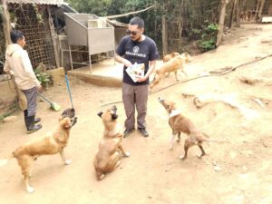 Ayudamos en Animal Aware (Guatemala, Guatemala)