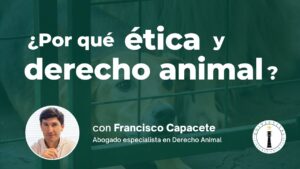 Por qué ética y derecho animal