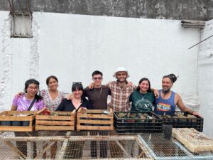 Urban Forests – Stage II: Seedling Pricking Out (Córdoba, Argentina)