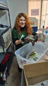 A Day of Care at ANIMA Wildlife Association (Kallithea, Greece)