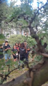 Sowing the Future: A Day of Species Identification and Seed Collection at Sarmiento Park (Córdoba, Argentina)